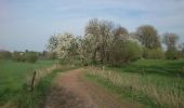 Tour Zu Fuß Unbekannt - Urdenbacher Kämpe - Rund um die Obstwiesen - Photo 4