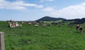 Excursión Senderismo Aydat - Pessade depuis la Garandie - Photo 7