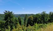 Trail Walking Bouillon - la balade des points de vue n 1 - Photo 8