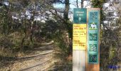 Trail Walking Beaufort-sur-Gervanne - Chapelle Saint-Pancrace (Suze) - Photo 15