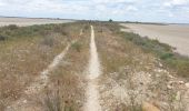 Trail Electric bike Arles - CAMARGUE SALINS BEAUDUC - Photo 2