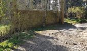 Tocht Stappen Pollionnay - Col de la Luère  - Photo 3