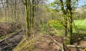 Excursión Senderismo Brakel - Everbeek 18,4 km - Photo 9