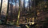 Tour Wandern Eupen - Ternell 1 - Photo 10