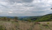 Tocht Stappen Chaudfontaine - autour du bois les dames  - Photo 13