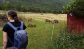 Trail Walking Plan-de-Baix - Canyon du Gueulards- Ombleze - Photo 5