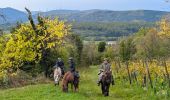 Tour Reiten Rosenweiler - suuntoapp-HorsebackRiding-2024-10-13T07-08-28Z - Photo 1