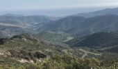 Trail Walking Banyuls-sur-Mer - 20220427 col de Banyuls-Sant Quirze de Colera - Photo 5