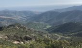 Randonnée Marche Banyuls-sur-Mer - 20220427 col de Banyuls-Sant Quirze de Colera - Photo 5