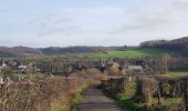 Randonnée Marche Fourons - Wandelroute-de-voerstreek-mooiste - Photo 10