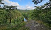 Trail Walking Florenville - Le Point de vue la Bohanan - Chassepierre - Photo 17