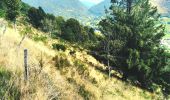 Trail Walking Bussang - Trek alsacien (boucle rochelotte) - Photo 6
