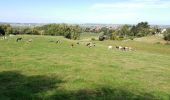 Tocht Elektrische fiets Ronse - Renaix - Berchem - Domaine de Ghellinck - Golf des Ardennes flamandes - Photo 14