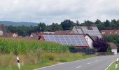 Tocht Te voet Dormitzer Forst - Wanderweg Rund um Unterschöllenbach - Photo 9