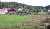 Percorso A piedi Wiesenttal - Rundwanderweg Wüstenstein - Draisendorf - Photo 4