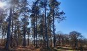 Tour Wandern Neupré - trek GR57 étape 2 : roche aux faucons (Esneux) . Comblain-au-Pont  - Photo 11