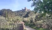 Excursión Senderismo Collioure - autour de Collioure a travers les vignes - Photo 4