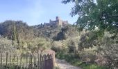 Trail Walking Collioure - autour de Collioure a travers les vignes - Photo 4