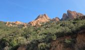 Trail Walking Saint-Raphaël - Pic du cap roux - Photo 7