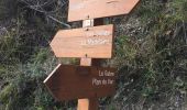Trail Walking Levens - Bonson - Photo 14