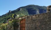 Tocht Trail Gorges du Tarn Causses - descente rando Saint enimie en courant  - Photo 1