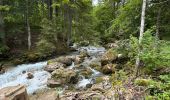 Tocht  Montriond - Lac de Montriond - Photo 4