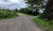 Tour Wandern Ferrières - Du Bois de ville au Bois de Xhoris - Photo 1