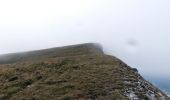 Tour Wandern Omblèze - Le tour du Roc de Toulau - Photo 13