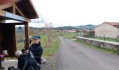 Trail Nordic walking Aiguilhe - Le Puy-en-Velay saint-privat-d'Allier - Photo 4