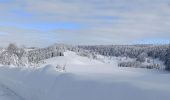 Trail Snowshoes La Pesse - La Pesse Embossieux /Le Lac de l'Embouteilleux  - Photo 8