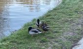 Tour Wandern Seneffe - BE-Seneffe - Petit Moulin - Ancien canal - Ecluses 20 et 19 - Photo 7