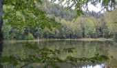 Trail Walking Plancher-les-Mines - PLANCHE DES BELLES FILLES - Photo 1