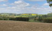 Tour Wandern Somme-Leuze - Nettinne - Source de la Somme - Photo 11