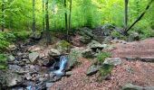 Randonnée Marche Spa - barisart . geronstere . creppe . barisart - Photo 12