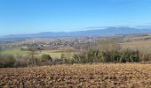 Trail Walking Illfurth - But kitch - Photo 2