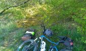 Percorso Bicicletta elettrica Jussy - Coulanges BORNE 10 04 24 - Photo 3