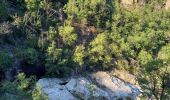 Percorso Marcia Prévenchères - Gorges du Chassezac au départ de la Garde guérin  - Photo 4