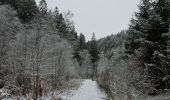 Tour Wandern Weismes - Sur les traces de l'ultratrail 🥾 - Photo 1