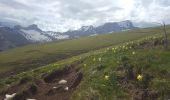 Tour Wandern Tréminis - Treminis :  Montagne de Paille, col de la Croix. - Photo 5