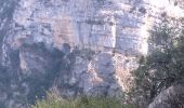 Tour Wandern Valbelle - 05 chap st Pons col sumiou zel - Photo 2