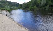 Tocht Stappen Goudet - Au fil de la Loire sauvage  - Photo 13