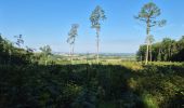 Trail Walking Frasnes-lez-Anvaing - Balade au pays de collines - Photo 2