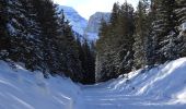 Trail On foot Cortina d'Ampezzo - IT-208 - Photo 10