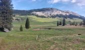Trail Walking Fillière - plateau des Gliéres par le pas du Roc - Photo 4