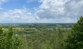 Trail Walking Condé-sur-l'Escaut - Condé sur l’Escaut 15,4 km - Photo 9