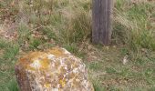 Trail Walking Valréas - borne papale  - Photo 4