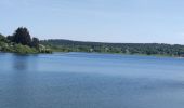Randonnée Marche Butgenbach - A la découverte du Lac de Butgenbach - Photo 4