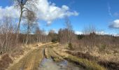 Trail Walking Gouvy - Gouvy 23 km  - Photo 9
