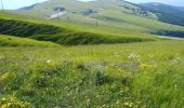 Trail On foot Guardiagrele - Bocca di Valle - Rifugio Pomilio - Photo 6