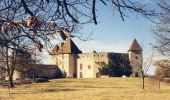Tocht Te voet Aigueperse - Chateau de la Roche - Photo 6
